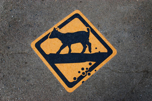 goat poop danger sign